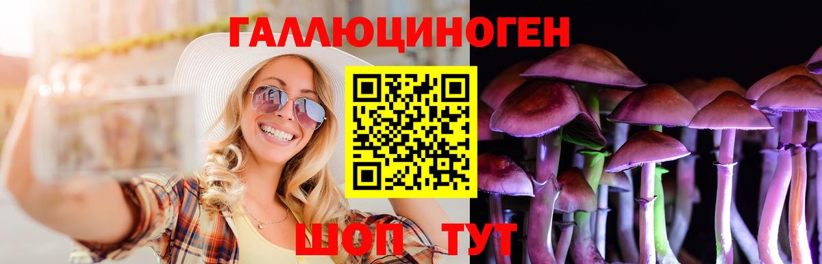 Псилоцибиновые грибы ЛСД  Вход с VPN  Карачаевск 
